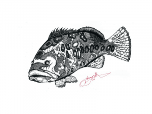  <strong>Grouper</strong>
