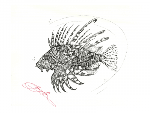  <strong>Lionfish-min</strong>