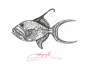  <strong>Queen-Triggerfish</strong>
